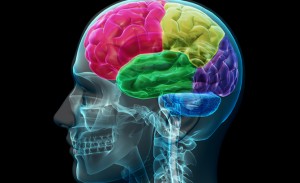 Alabama Traumatic Brain Injury Lawyer